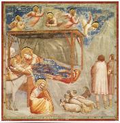 GIOTTO di Bondone Birth of Christ France oil painting artist